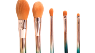 5Pcs Professional Makeup Brush Set